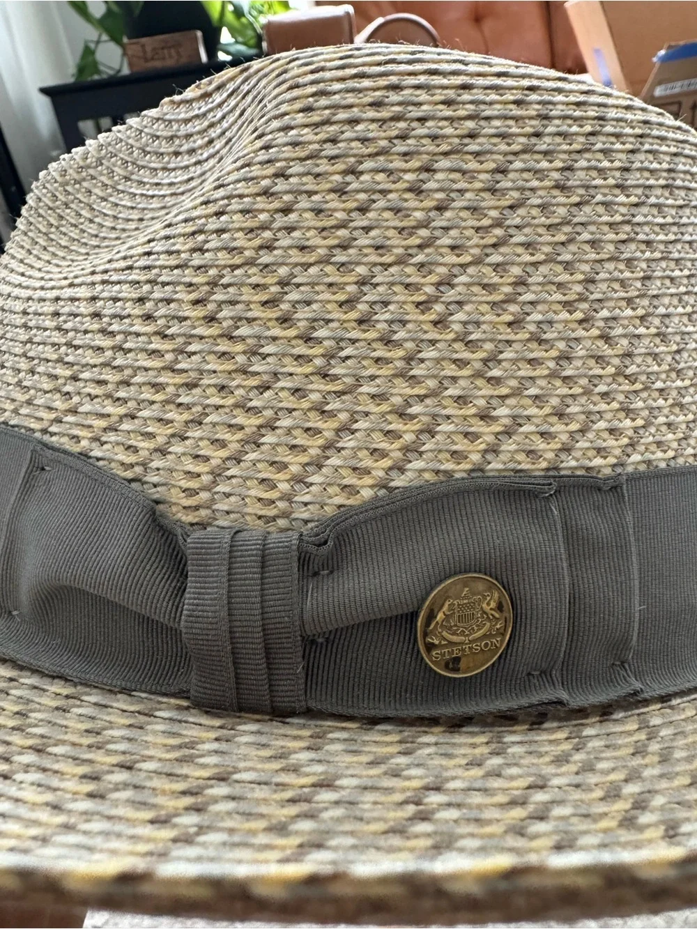 NWT Stetson Fedora